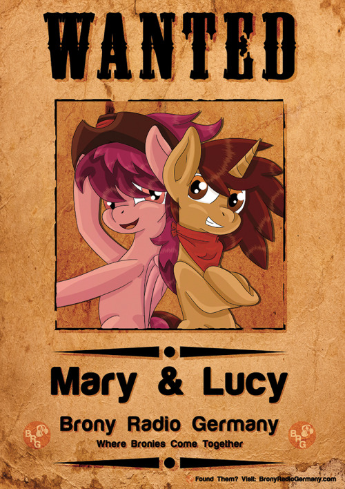 Sex BRG poster for Brony Fair 2016 in April. pictures