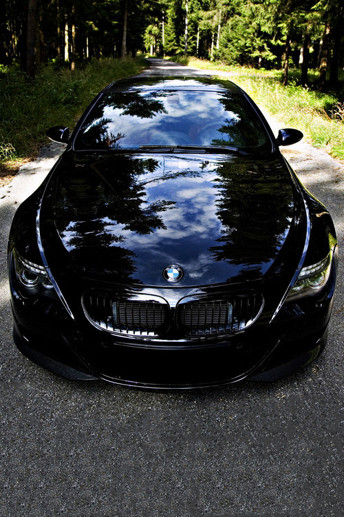 royalindulgence:  Photo http://italian-luxury.tumblr.com/post/65626713100