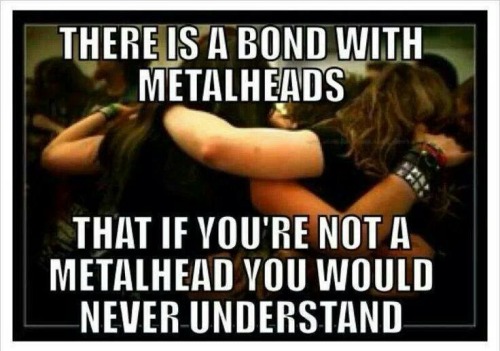 thewilltosurvive-cfh:  Reblog if you are friends with a metalhead. 