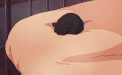 apricotedits:  Jiji (Kiki’s Delivery Service) pt. 4 