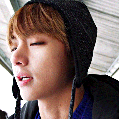 Winter Bear For @heybaetae [cr. 0613data]