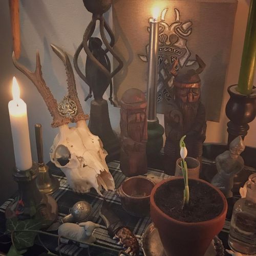 Imbolc altar ✨ Details#imbolc #oimelc #imbolcaltar #altar #paganaltar #pagan #paganism #gods #slav