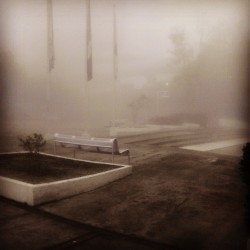 #CUAADhill #CUAAD #neblina