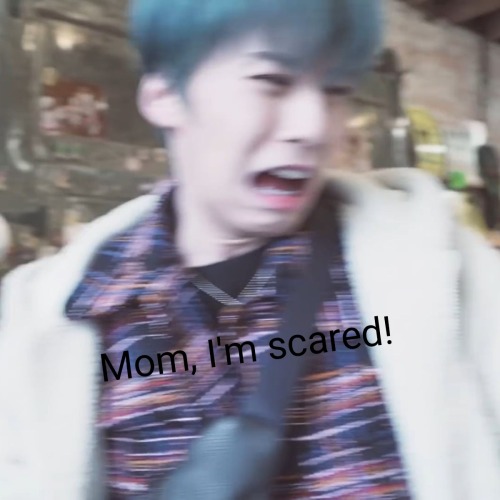 My Contribution To The Oneus Memes