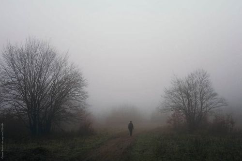 Walking through the fog #photography #mystery #dark #photocosma #manandnature #naturephotography #fa