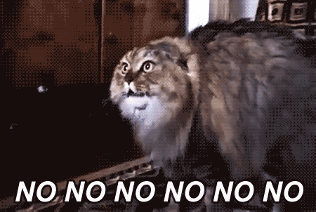 The 9th gif in your folder is your reaction after losing your virginity.