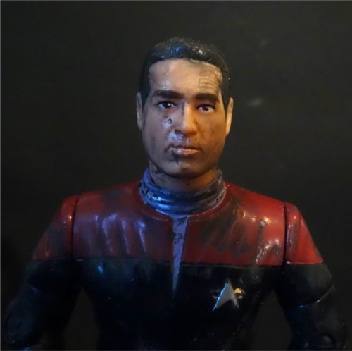 action-figures-in-action:Chakotay is on the search for some flowers for Valentine’s Day. But it does