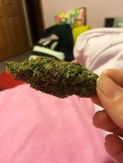 herbal–essences:  You ever not want to break up a nug bc it’s so pretty???????
