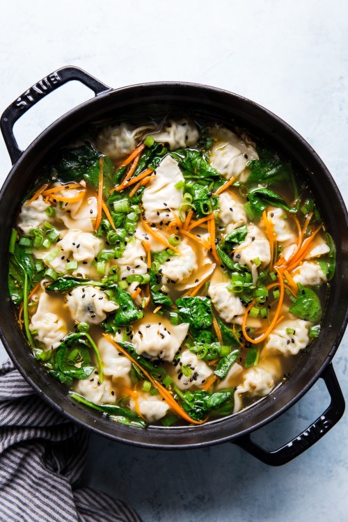 dumpling soup