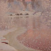 ancientsstudies:Winter in Gustaf Fjaestad&rsquo;s Paintings.