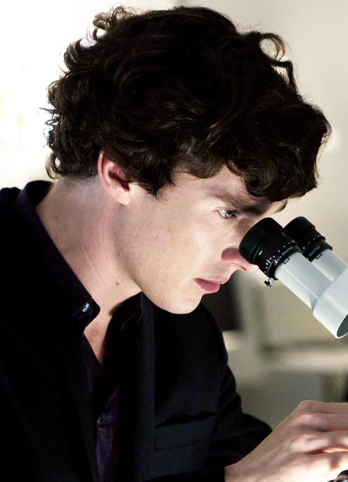 Sherlock S2 X S4