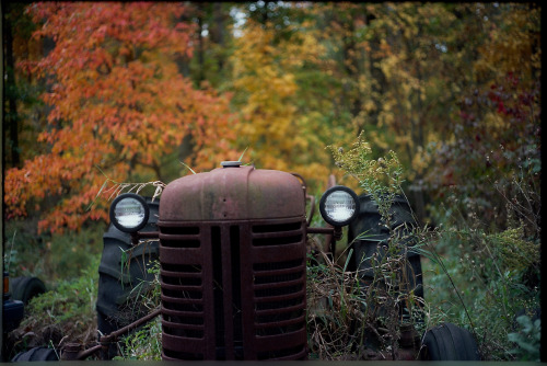 Color RustLeica M6 / Kodak Portra 400Berks County, Pennsylvania