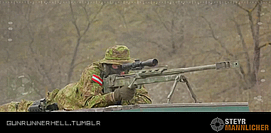 gunrunnerhell:  Steyr HS .50 M1