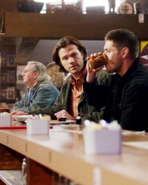 spn-idjits-guide-to-hunting:11x16 “Safe House“ 