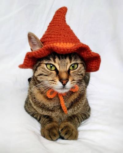 littlealienproducts:Crochet Cat Costume by PurrsAndStitches