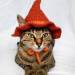 littlealienproducts:Crochet Cat Costume by PurrsAndStitches