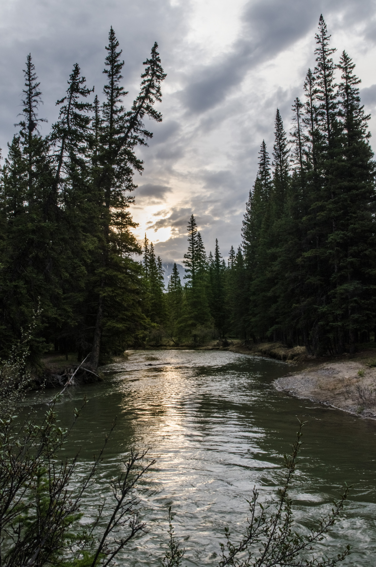 jeanpolfus:  Morning on the Bow River near Banff, Alberta, Canada. 