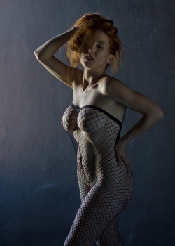 alan-h-bruce:  katzpajamaz:  BH Fotografik  Katz in the net… I don’t have the words… 