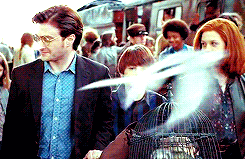 lesliebensgone-blog:                    [24/50] Harry Potter Parallels                    