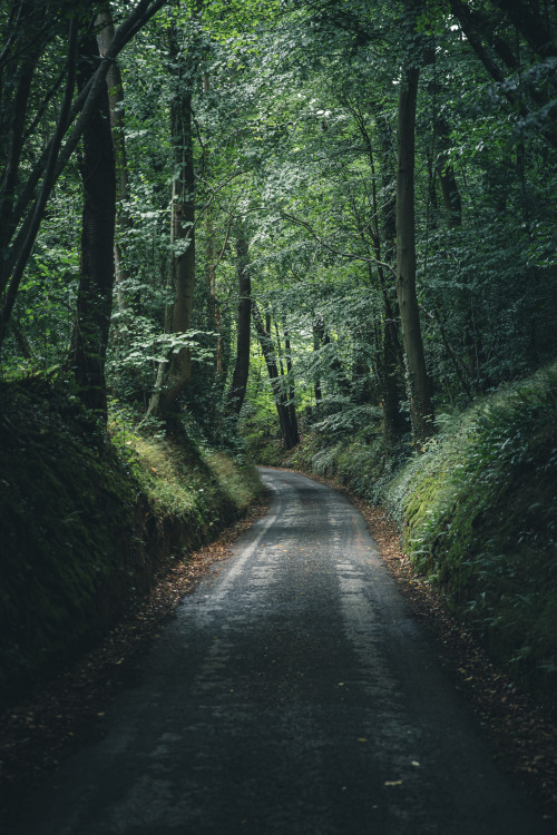 canipel:  Deep roads. | Make sure you follow &gt; Shot By Canipel &amp; Instagram  