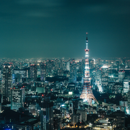 ourbedtimedreams:   	東京タワー。 by Wilson Lee    	Via Flickr: 	Canon EOS 5D Mark II   Zeiss Makro-Planar T* 2/50   