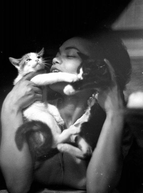 teamgyarados:jamesfranciscagney:Eartha Kitt, and a couple of kittens, photographed by Gordon Parks. 