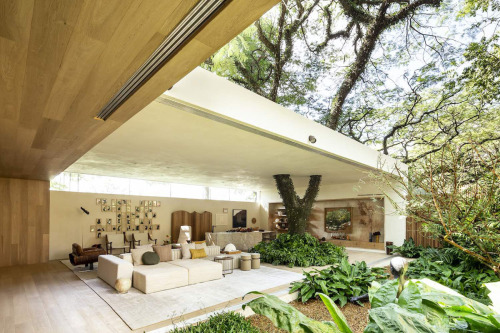 Brilliant Brazilian Houses Centered Around Trees