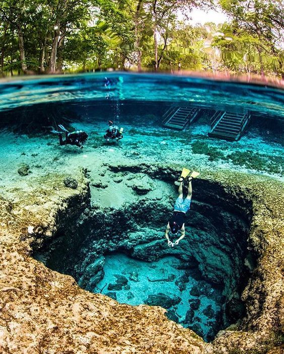 life1nmotion:  Ginnie Springs, Florida, U.S.