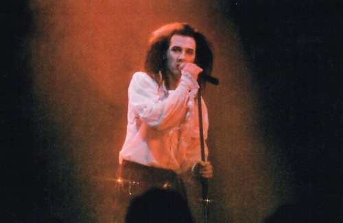 fallopianrhapsody:The elegant, majestic, resplendent, ghostly splendor of Dave Vanian.