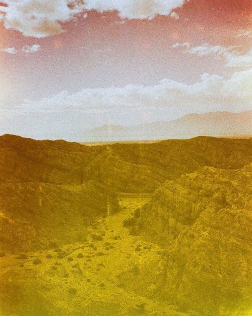 Colorado DesertShot on #Lomography X Pro Chrome 2001 March 2020#olympusxa#heylomography #lomoxpro200