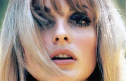 foreversharontate:Sharon Tate photographed