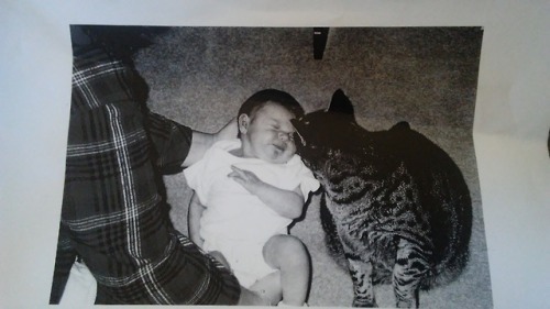 piefanart: My mom found this picture of me as a newborn with my cat Eddie. I was 9 pounds and like 1