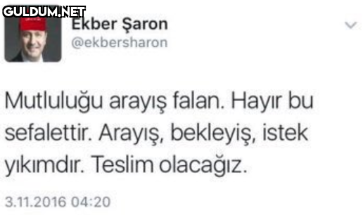 Mutluluğu arayış falan....