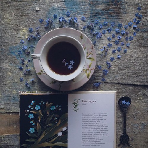 stardust-and-books:Books and coffee ☕️