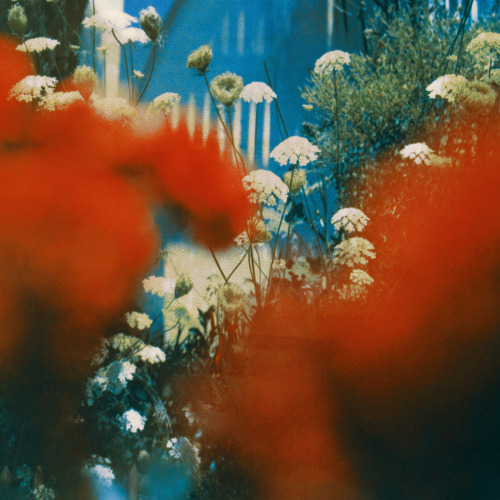 kreativekopf:   Neil Krug  