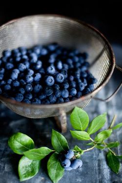 Grace-Hollow-Doll:dreaming Of Blueberries