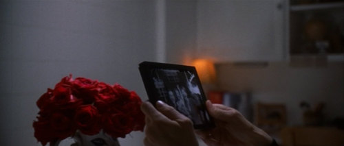 girlpacino:Roses in American Beauty (1999) dir. Sam Mendes