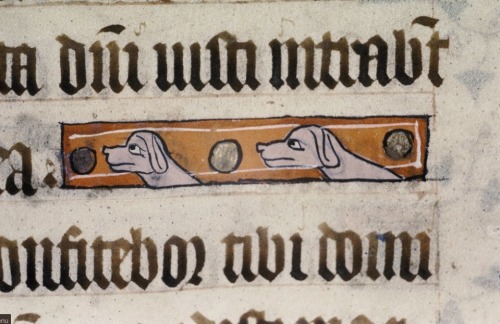 erikkwakkel:Medieval dog snapshotThey look determined, these 13th-century dogs. A familiar look, sti