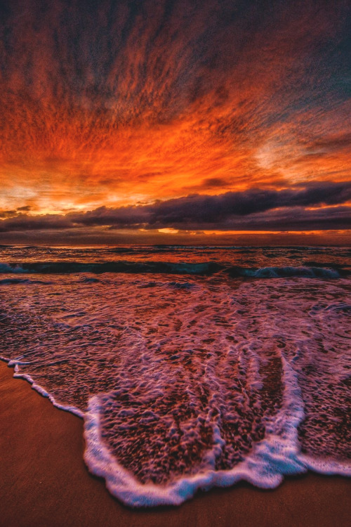 lsleofskye:Gold Coast, Queensland | benmuldersunsets