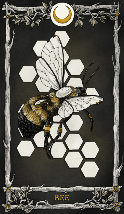 THE STARLESS SEA TAROT CARD COUNTDOWN: The Bee and the Key“The bee on her chest flutters.Once her to