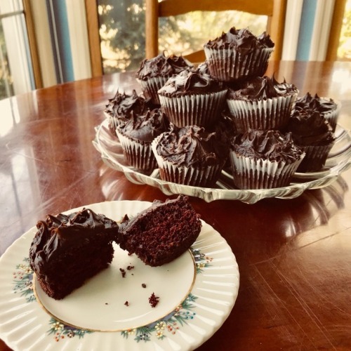 wehadariverboatinourlivingroom: Our family enjoyed the deep chocolatey flavor of these cupcakes ofte