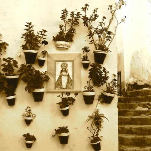 Patio interior con escalera y azuelos de la Virgen, Judería, Córdoba, 1986.