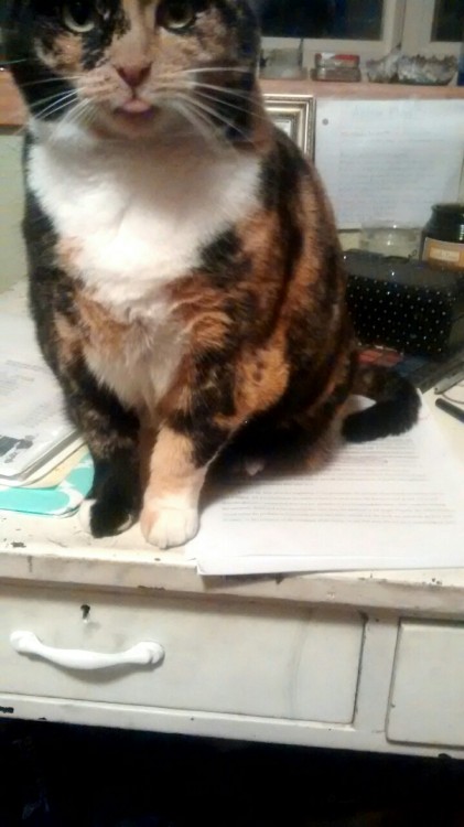 heartbottle:She likes to help me procrastinate.