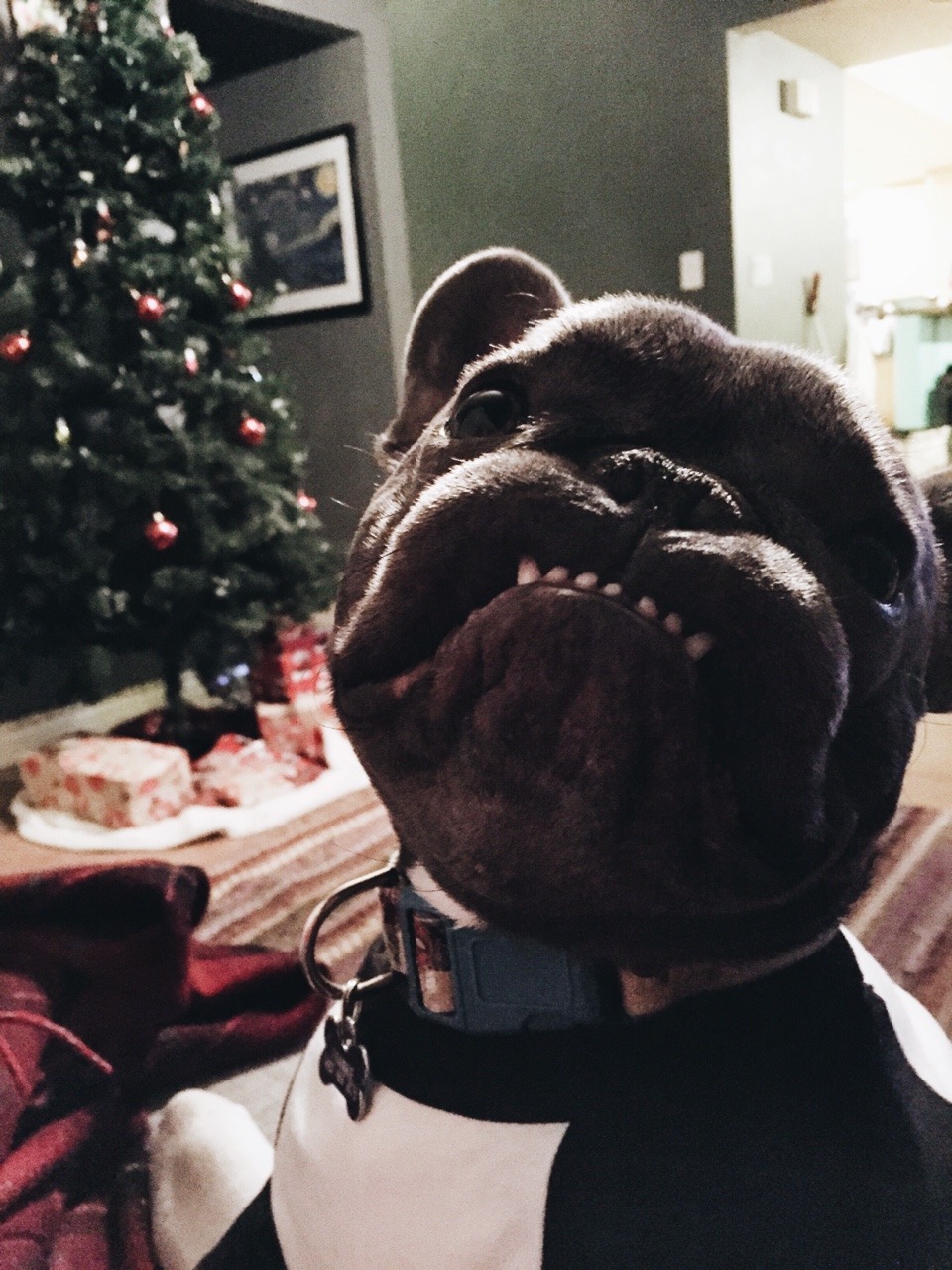 bugtoat:  Mewwy Cwithmith