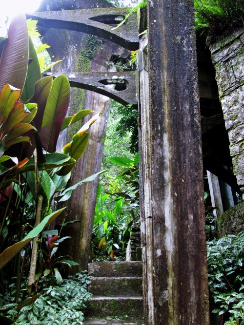 venus-garden:Las Pozas, Xilitlaflickr / vscogrid / instagram (please keep the caption)❀ tropical blo