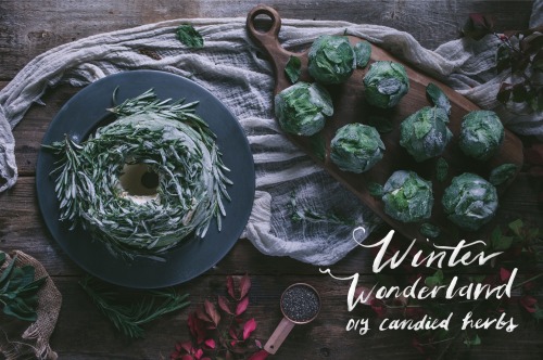 hipsterfood:  chickpea-magazine:  Our winter issue is filled with interesting long reads, lots of sweets recipes, and plenty of gorgeous food photography. A few features: becoming a kitchen beautician, putting together a vegan cheese platter, touring