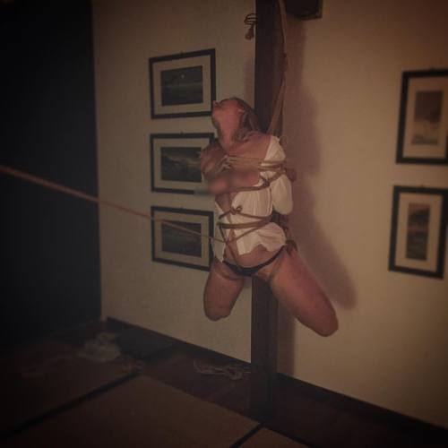 kirigamikinbaku:  #kirigami #kinbaku #semenawa #blondegirl #tatami #shibari #bondage #tatamiroom #abbraccidicorde #ropes #ropetorture #hashira #hashirashibari