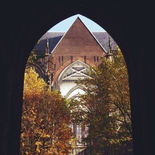 AUTUMNCOURT - Arches III;#Domkerk, #Utrecht, #TheNetherlands(at Utrecht)