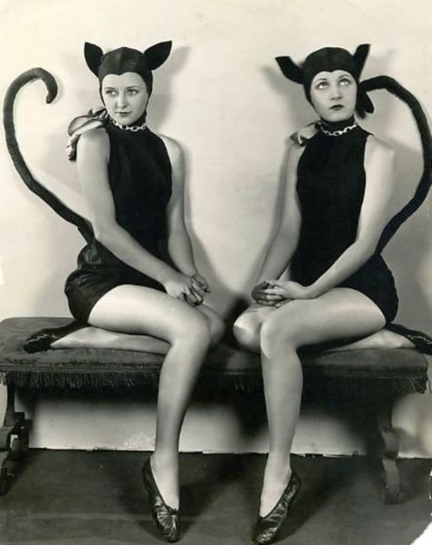 Petgirls Photo Journal