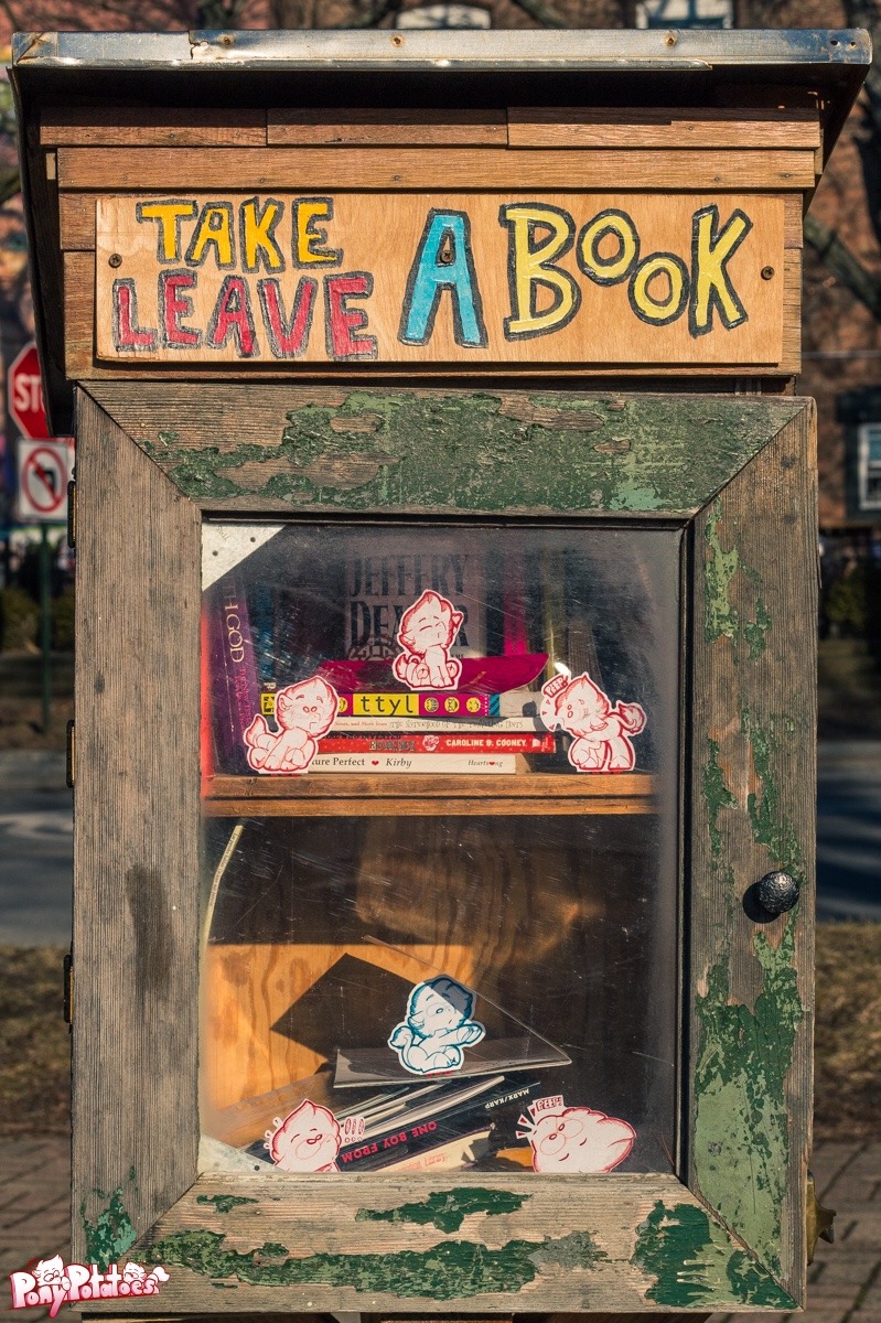 ponypotatoes:Peepers peep a book box! It was quite a lovely day! Eeee~! :D